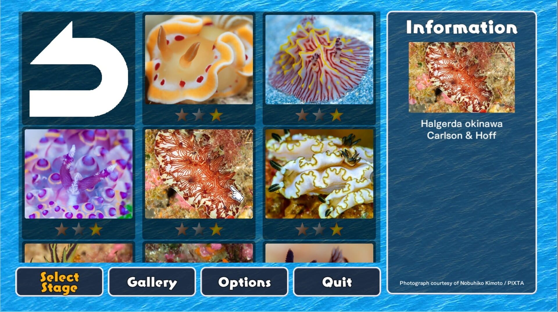 Game screenshot
